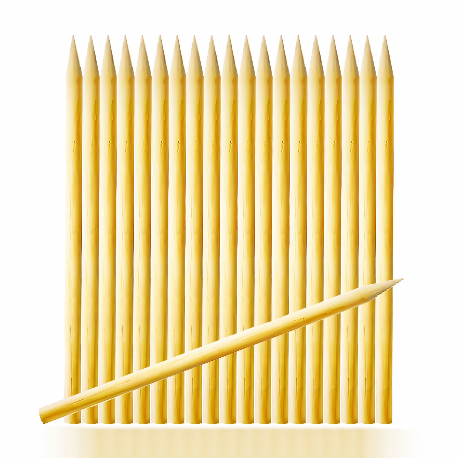 Candy Apple Sticks Box 1000